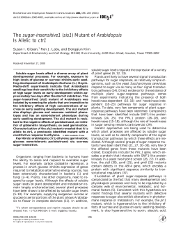 The sugar-insensitive1 (sis1) Mutant of Arabidopsis Is Allelic to ctr1