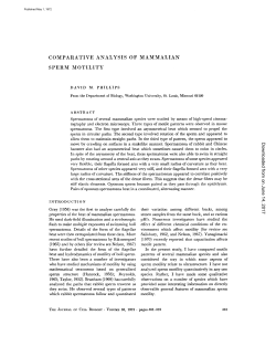 comparative analysis of mammalian sperm motility