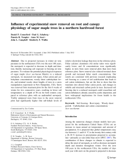 Influence of experimental snow removal on root and canopy