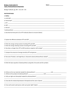 FLUSHING HIGH SCHOOL