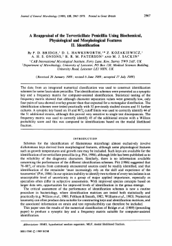 A Reappraisal of the Terverticillate Penicillia Using