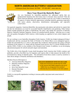 NORTH AMERICAN BUTTERFLY ASSOCIATION