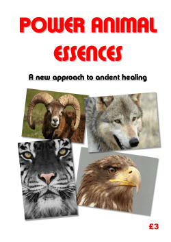 Power Animal Essences. - Therapeutic Shamanism