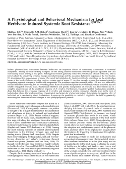 A Physiological and Behavioral Mechanism for Leaf Herbivore