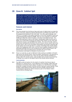 C8 Zone 8: Calshot Spit - New Forest District Council