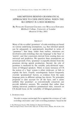 ASSUMPTIONS BEHIND GRAMMATICAL APPROACHES TO CODE