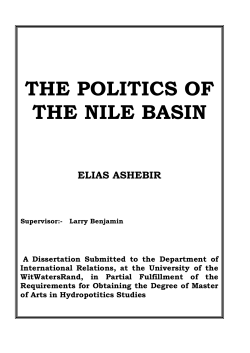 the politics of the nile basin