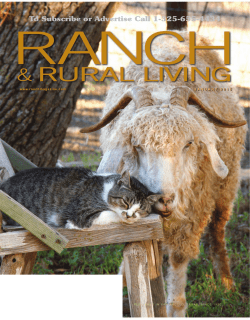 To Subscribe or Advertise Call 1-325-655-4434