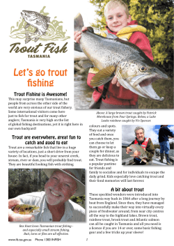 Let`s go trout fishing - IFS Home