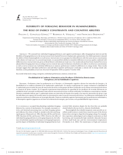flexibility of foraging behavior in hummingbirds: the role of
