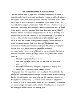 300 Peck Approach - Pawsitively Dogs