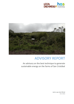 advisory report - Local Dreamers
