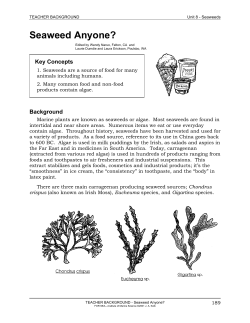 Seaweed Anyone?