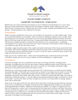 HOUSE RABBIT HABITATS