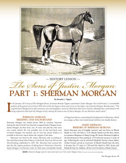 Tbe Sons of Justin Morgan - American Morgan Horse Association