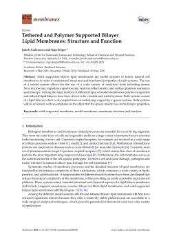 Tethered and Polymer Supported Bilayer Lipid Membranes