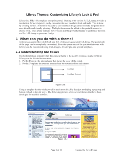 Liferay Themes PDF