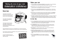 Rainforest - Bristol Zoo