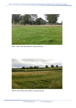 Plate 7. Area D after data collection, looking north