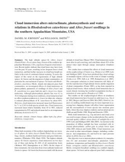 Cloud immersion alters microclimate, photosynthesis and water