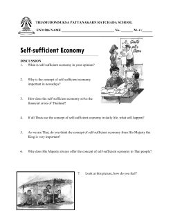 The Concept of Self-sufficient Economy