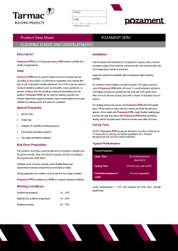 Product Data Sheet POZAMENT DPM FLOORING