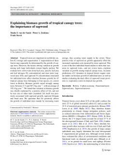 Explaining biomass growth of tropical canopy trees: the importance