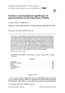 Incidence and mechanical significance of
