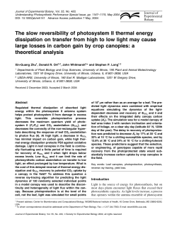 The slow reversibility of photosystem II thermal energy dissipation