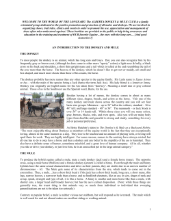 an introduction to the donkey and mule the