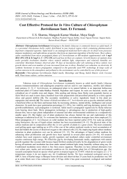 Cost Effective Protocol for In Vitro Culture of Chlorophytum
