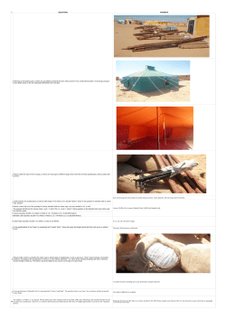 QUESTIONS ANSWERS Iron rod tent pegs from best