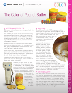 The Color of Peanut Butter