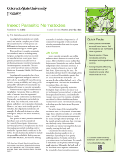 Insect Parasitic Nematodes - Colorado State University Extension