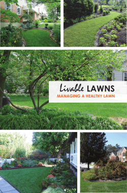 Managing a Healthy Lawn - Delaware Livable Lawns