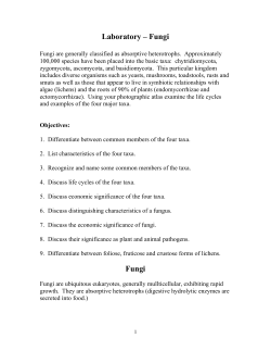 Laboratory &ndash; Fungi 9/00 sm