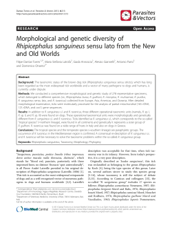Morphological and genetic diversity of Rhipicephalus