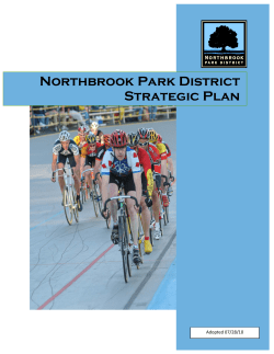 Strategic Plan 2011 - Northbrook Park District