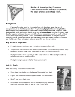 here - Estuary Chesapeake