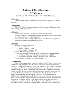 Animal Classifications - gk-12