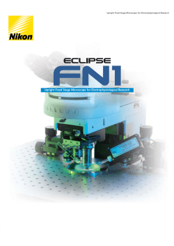 Upright Fixed Stage Microscope for Electrophysiological