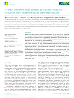 A fungal endophyte helps plants to tolerate root herbivory through
