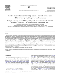 In vitro biosynthesis of novel 5-reduced steroids by the testis of the