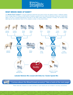 Buddy - Wisdom Panel