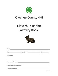 Cloverbud Rabbit Activity