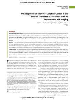 Development of the Fetal Cerebral Cortex in the Second Trimester