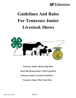 Guidelines And Rules For Tennessee Junior Livestock Shows