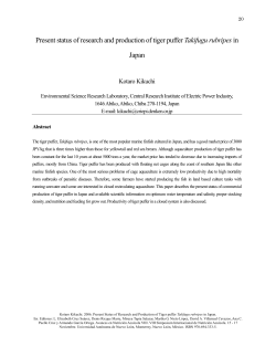 Present status of research and production of tiger puffer