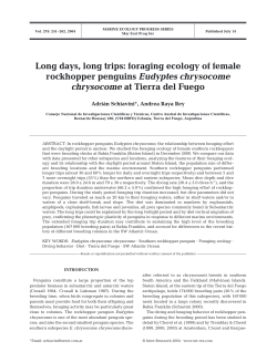 Long days, long trips: foraging ecology of female rockhopper