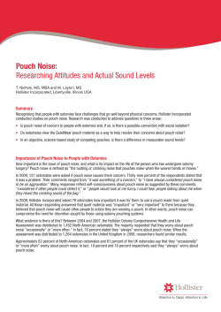 Pouch Noise: Researching Attitudes and Actual Sound Levels